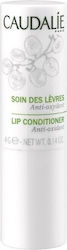 Caudalie Lip Conditioner Lip Balm 4.5gr Caudalie Lip Conditioner Lip Balm 4.5gr
