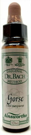 Ainsworths Gorse Ανθοΐαμα σε Σταγόνες 10ml