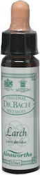 Ainsworths Larch Ανθοΐαμα 10ml