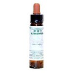 Ainsworths White Chestnut Esență Florală în Picături pentru Relaxare 10ml