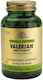 Solgar Valerian Root Extract 300mg 60 φυτικές κάψουλες