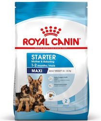 Royal Canin Starter Mother & Babydog Maxi 15kg