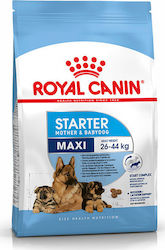 Royal Canin Starter Mother & Babydog Maxi 4kg Hrană Uscată pentru Cățeluși de Rase Mari cu Păsări de curte și Orez