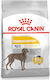 Royal Canin Dermacomfort Maxi 3kg Trockenfutter für erwachsene Hunde großer Rassen mit Reis