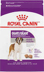 Royal Canin Giant Adult 4kg Ξηρά Τροφή για Ενήλικους Σκύλους Μεγαλόσωμων Φυλών με Καλαμπόκι και Πουλερικά