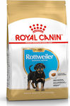 Royal Canin Puppy Rottweiler 12kg Ξηρά Τροφή για Κουτάβια Μεγαλόσωμων Φυλών με Πουλερικά και Ρύζι
