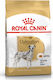 Royal Canin Dalmatian Adult 12kg Dry Food for Adult Large Breed Dogs with Rice