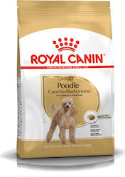 Royal Canin Poodle Adult 1.5kg Hrană Uscată pentru Câini Adulți de Rase Mici cu Păsări de curte și Orez