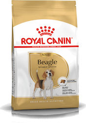 Royal Canin Adult Beagle 12kg Dry Food for Adult Dogs of Medium Breeds with Corn and Chicken