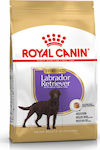 Royal Canin Sterilised Labrador Retriever 12kg Trockenfutter für sterilisierte erwachsene Hunde großer Rassen mit Mais, Geflügel und Reis