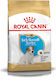Royal Canin Puppy Jack Russell Terrier 3kg Ξηρά Τροφή για Κουτάβια Μικρόσωμων Φυλών με Πουλερικά και Ρύζι