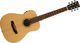 Sigma Guitars Acoustic Guitar TM-12 Natural