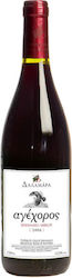 Oinopoieio Dalamara Agiorgitiko Rot Trocken 750ml Oinopoieio Dalamara Agiorgitiko Rot Trocken 750ml