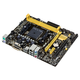 Asus A58M-E