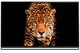 Panasonic Smart Τηλεόραση 55" Full HD TX-55AS800 TX-55AS800E