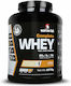 Warrior Lab Complete Whey Whey Protein Gluten Free with Flavor Chocolate 2.27kg