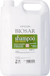 Farcom Biosar Bitter Almond Shampoos für Alle Haartypen 1x3500ml