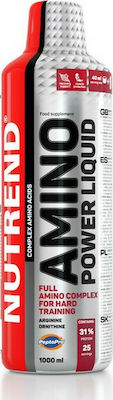 Nutrend Amino Power Liquid 500ml Ungesüßt