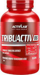 ActivLab Tribuactiv B6 90 tabs