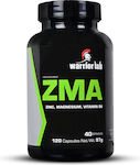 Warrior Lab Zma 120 κάψουλες