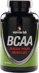 Warrior Lab BCAAs 200 file Necondimentat