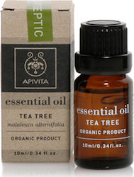 Apivita Essential Oil Αιθέριο Έλαιο Tea Tree 10ml