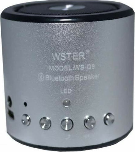 WSTER Bluetooth Speaker 3W with Radio Silver WS-Q9