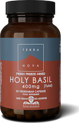 TerraNova Holy Basil 400mg 50 φυτικές κάψουλες TerraNova Holy Basil 400mg 50 φυτικές κάψουλες