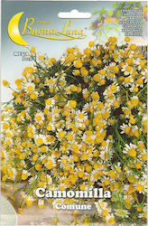 CHAMOMILE- CAMOMILLA comune 5gr