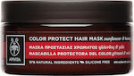 Apivita Μάσκα Μαλλιών με Ηλίανθο και Μέλι για Προστασία Χρώματος 200ml