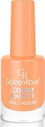 Golden Rose Color Expert Oja 10.2ml