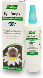 A.Vogel Eye Drops Moisturising Ophthalmic Drops 10ml