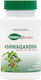Nature's Plus Herbal Actives Ashwagandha 450mg 60 Vegetable Capsules