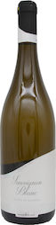 Kintónis Sauvignon Blanc Vin Alb Sec 750ml