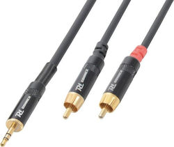 Power Dynamics 3.5mm male-RCA male 6.0m CALIN147 Power Dynamics 3.5mm male-RCA male 6.0m CALIN147