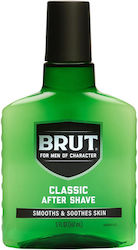 Brut Classic After Shave Lotion 147ml Brut Classic After Shave Lotion 147ml