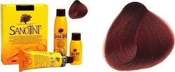 Sanotint Classic Set Hair Dye no Ammonia 24 Cherry 125ml