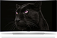 LG Televizor inteligent 55" OLED 55EG960V HDR