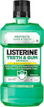 Listerine Teeth & Gum Defence Στοματικό Διάλυμα κατά της Πλάκας 500ml