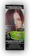 Miss Sandy Hair Color Cream Miss Sandy Permanent Dye 4/26 Chestnut Iridescent Red 60ml