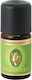 Primavera Organic Ulei Esențial Eucaliptus 10ml