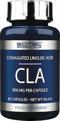 Scitec Nutrition CLA 800mg 60 caps