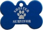 Shelter Dog ID Blue 4x2cm