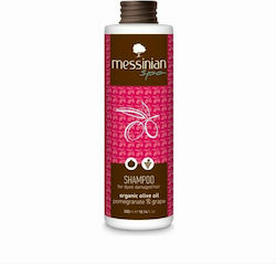 Messinian Spa Pomegranate & Grape Șampoane de Menținere a Culorii pentru Colorat Păr 1x300ml