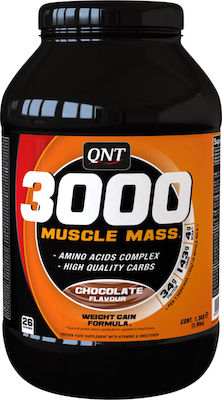 QNT 3000 Muscle Mass Molkenprotein mit Geschmack Schokolade 1.3kg