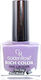 Golden Rose Rich Colour Glossy Long Lasting Nai...