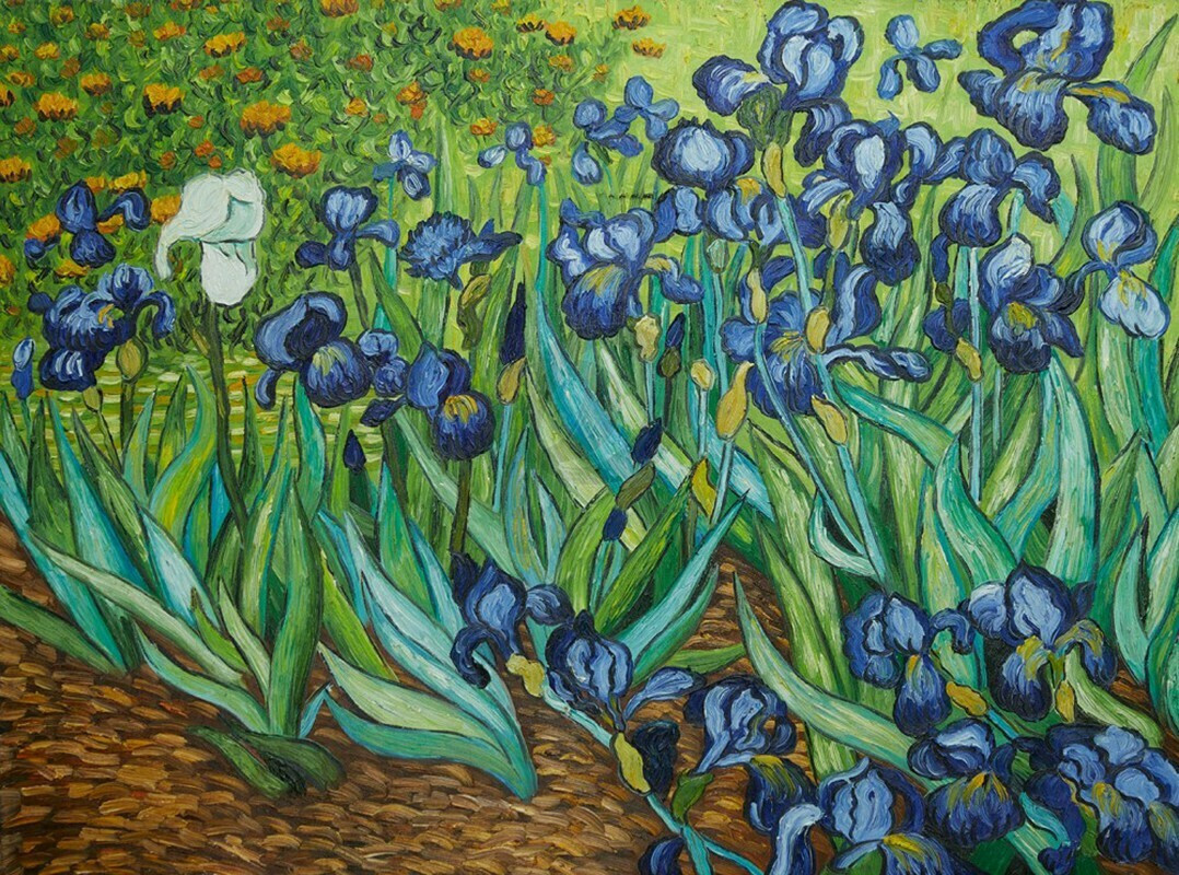 Van Gogh Iris 1000pcs (2801N09589G) Skroutz.gr