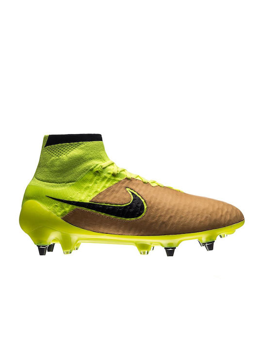 new magista