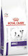 Royal Canin Veterinary Adult Small Dog 8kg Hrană Uscată pentru Câini Adulţi de Rase Mici cu Păsări de curte și Carne de porc