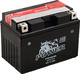 Power Batteries Motorcycle Battery YTZ12S-BS 200A with Capacity 11Ah